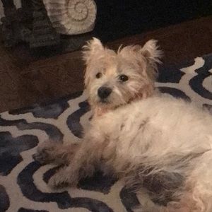 Meet your Posher, Linda